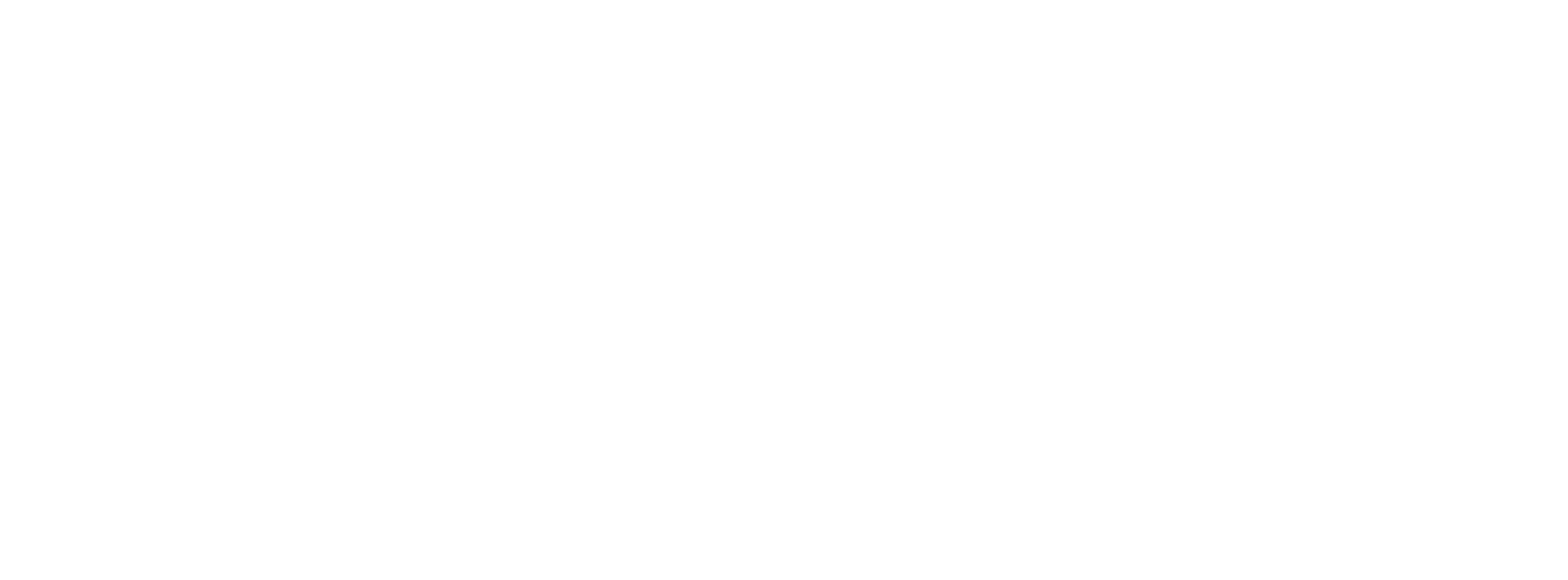 ELLEBI LOGO Bianco